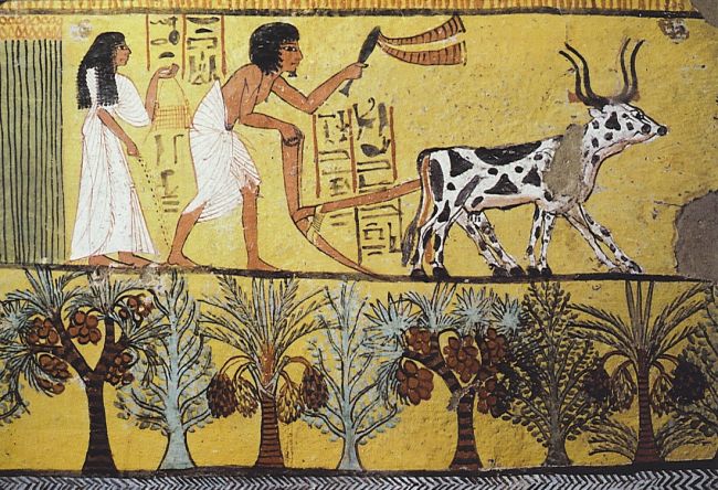 هل تعرف شيئا عن طعام الفراعنة المصريين وعاداتهم في الاكل